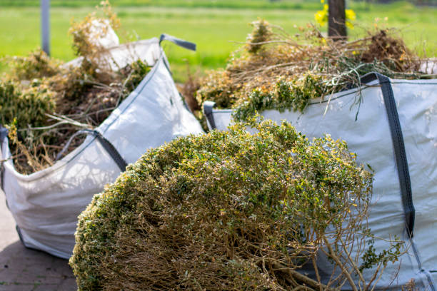 Best Retail Junk Removal  in Rupert, WV